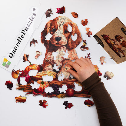 🔥LAST DAY 92% -Beautiful thanksgiving little puppy