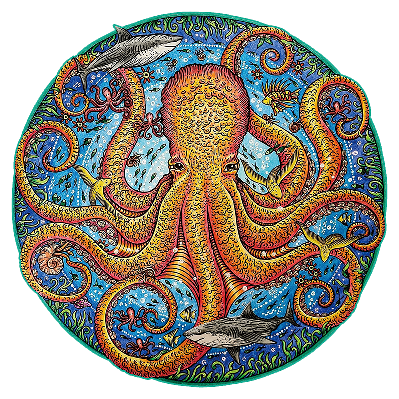 Big Octopus Puzzle