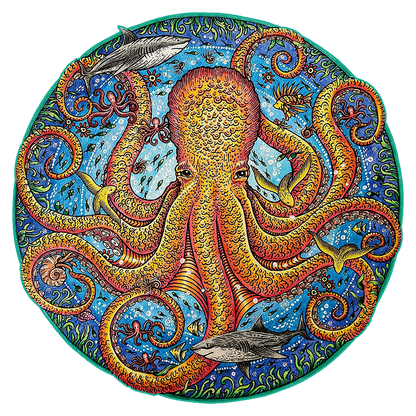 Big Octopus Puzzle